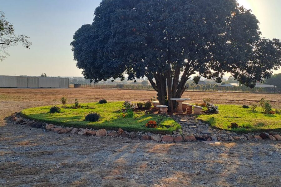 WhatsApp Image 2025-05-13 at 4.36.27 PM