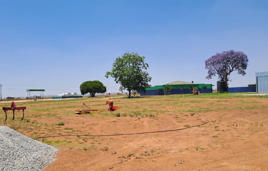 WhatsApp Image 2025-10-24 at 12.26.57 PM